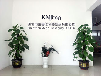 Shenzhen Mega Packaging Co.,Ltd linha de produção do fabricante
